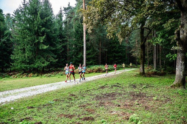 Naši uporabniki ponovno na startu Triglav teka